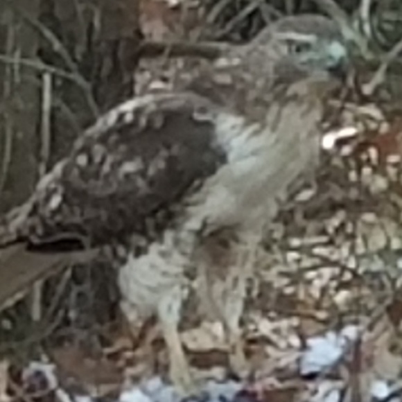 Meet your Posher, Denyce - Picture 4 of 5